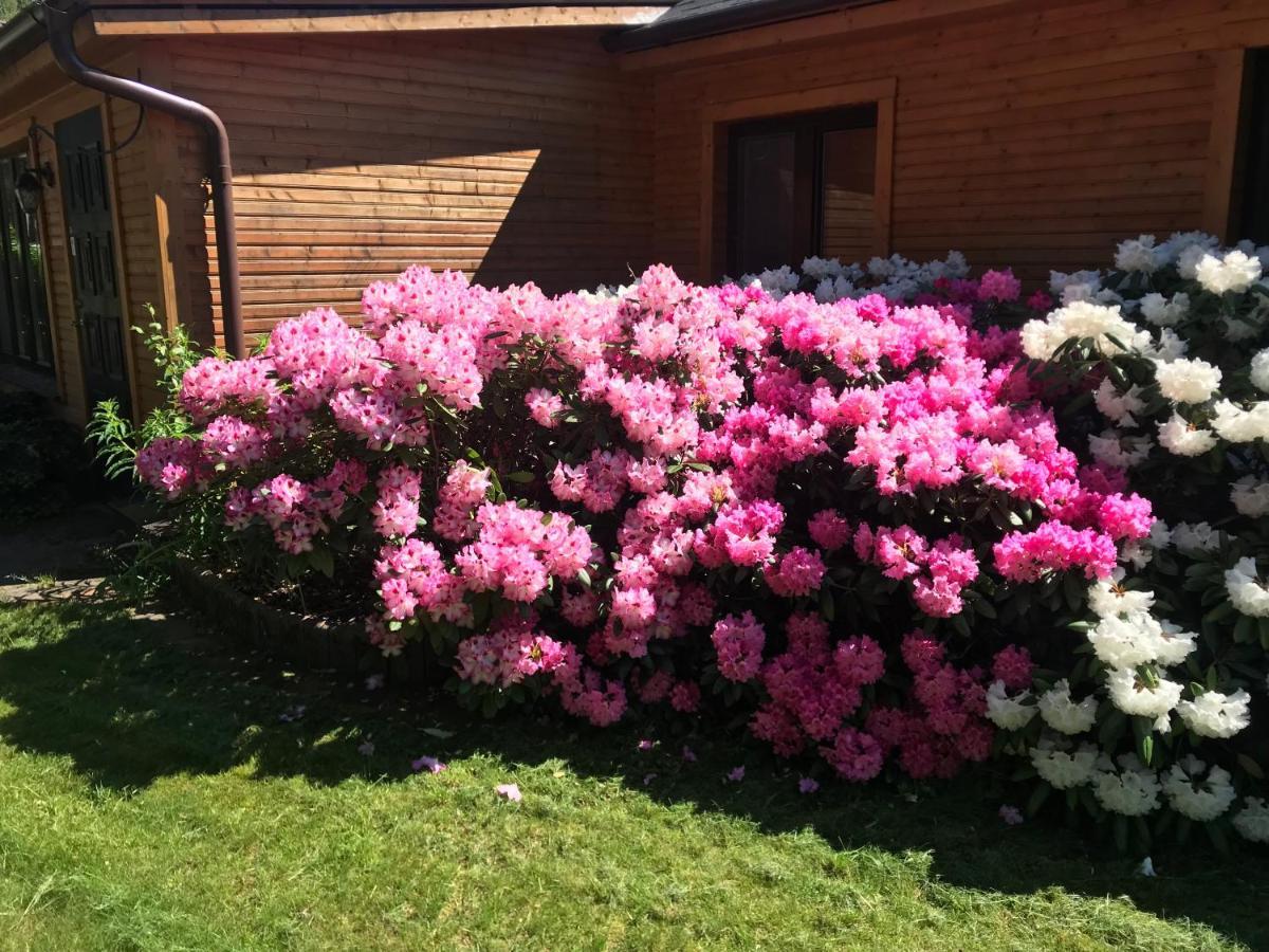 The Gorgeous Log House, That Brings Out The Smile! Βίλα Hara Εξωτερικό φωτογραφία